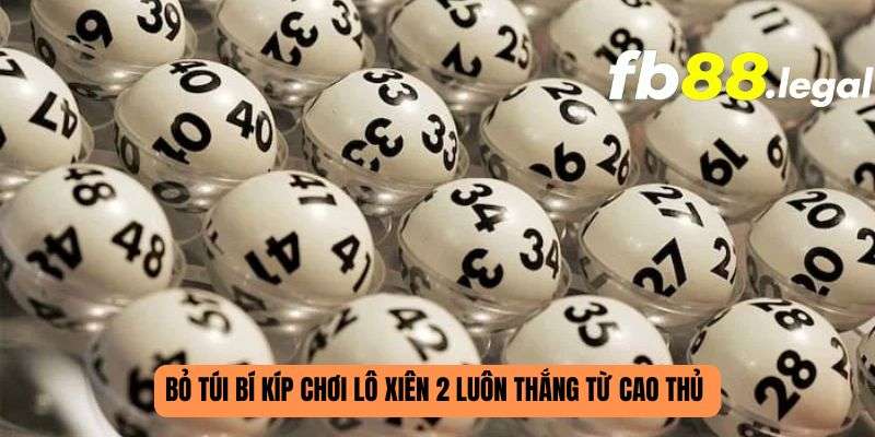 Bỏ túi bí mật chơi lô tô 2 luôn giành chiến thắng từ cao thủ